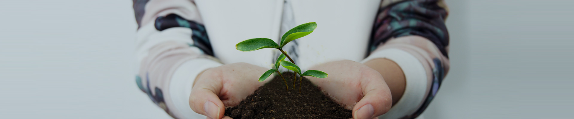 社會(huì)責(zé)任