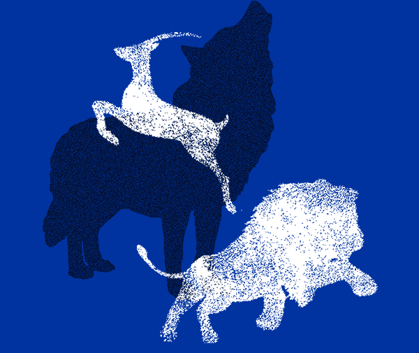 獅子、羚羊和狼